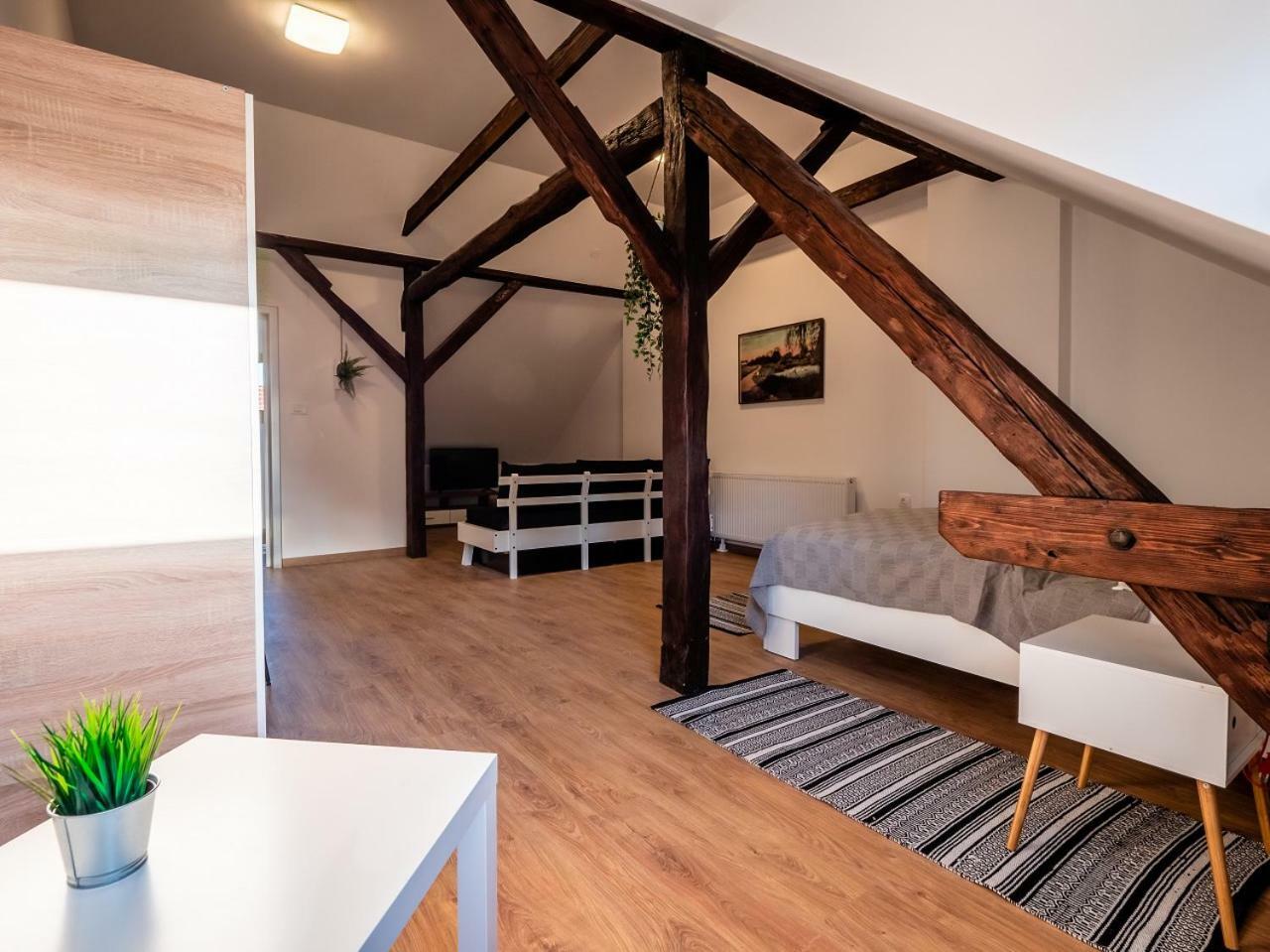 Eva Rooms & Studio Apartment Karlovac Extérieur photo